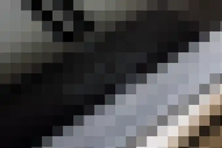 Kanaalpark 82 Philippine thumbnail 21
