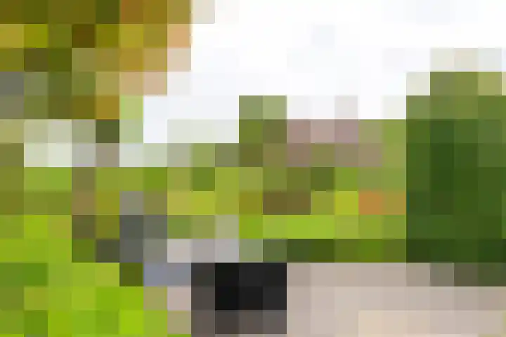 Kanaalpark 82 Philippine thumbnail 48