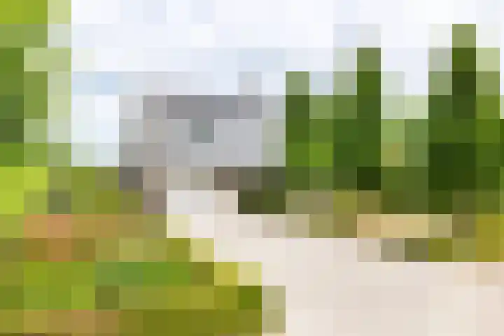 Kanaalpark 82 Philippine thumbnail 5