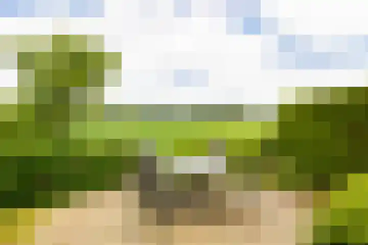 Kanaalpark 82 Philippine thumbnail 55