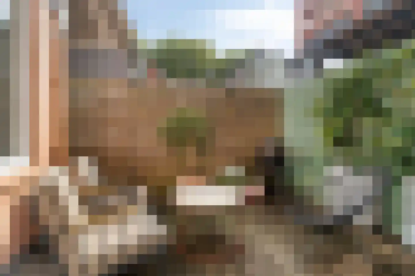 Kanaalschans 23 Purmerend thumbnail 37