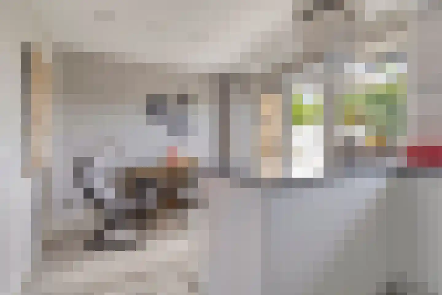Kanaalstraat 106 B Lisse thumbnail 13