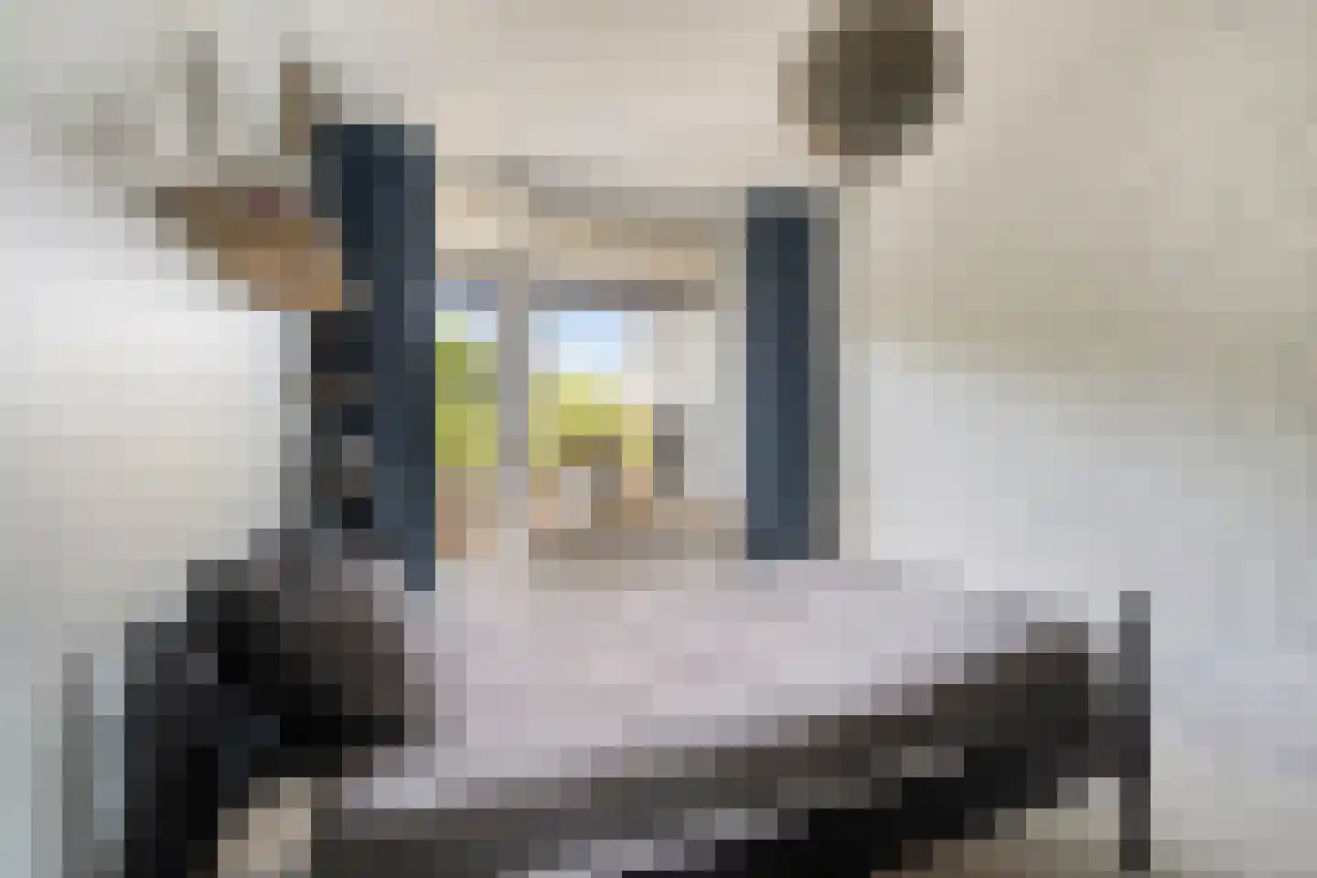 Kanaalstraat 106 B Lisse thumbnail 17