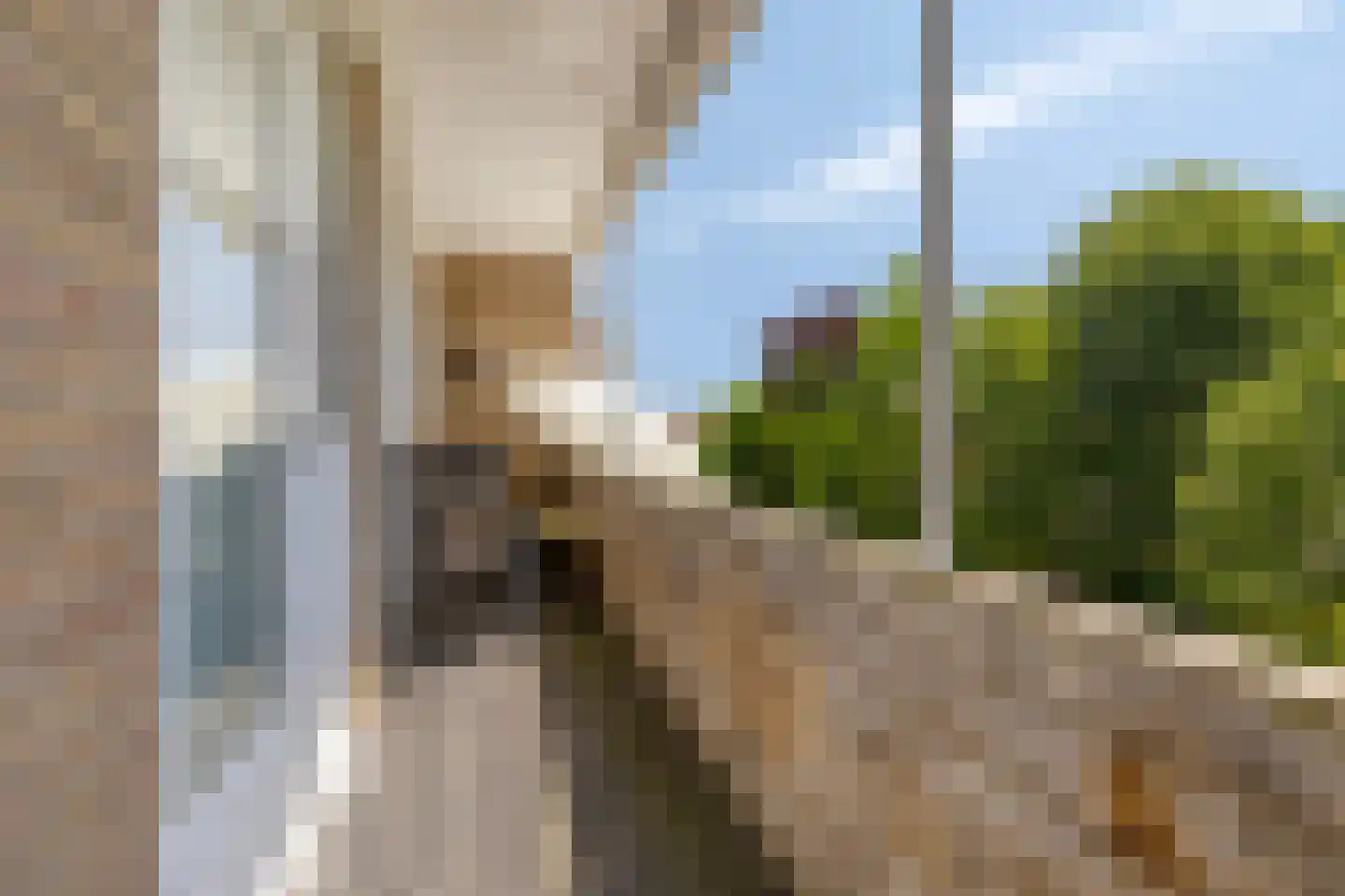Kanaalstraat 106 B Lisse thumbnail 23