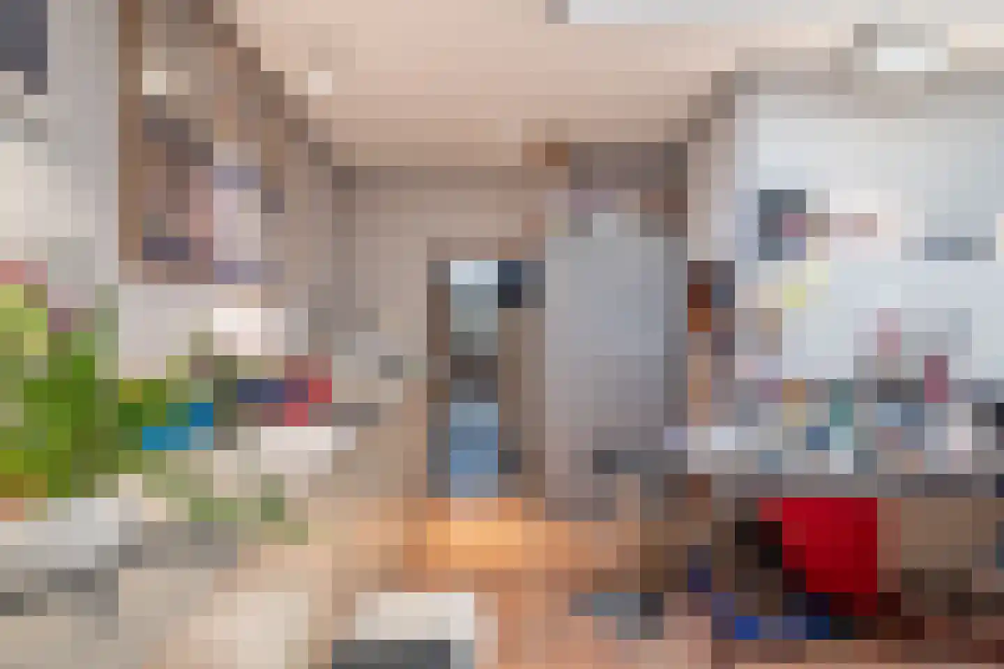 Kanaalstraat 11 Hansweert thumbnail 42