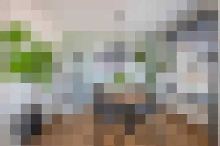 Kanaalstraat 116 B Lisse thumbnail 9