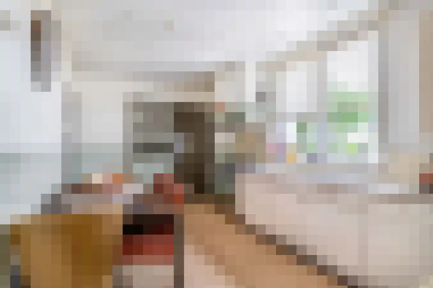 Kanaalstraat 12 Liessel thumbnail 10