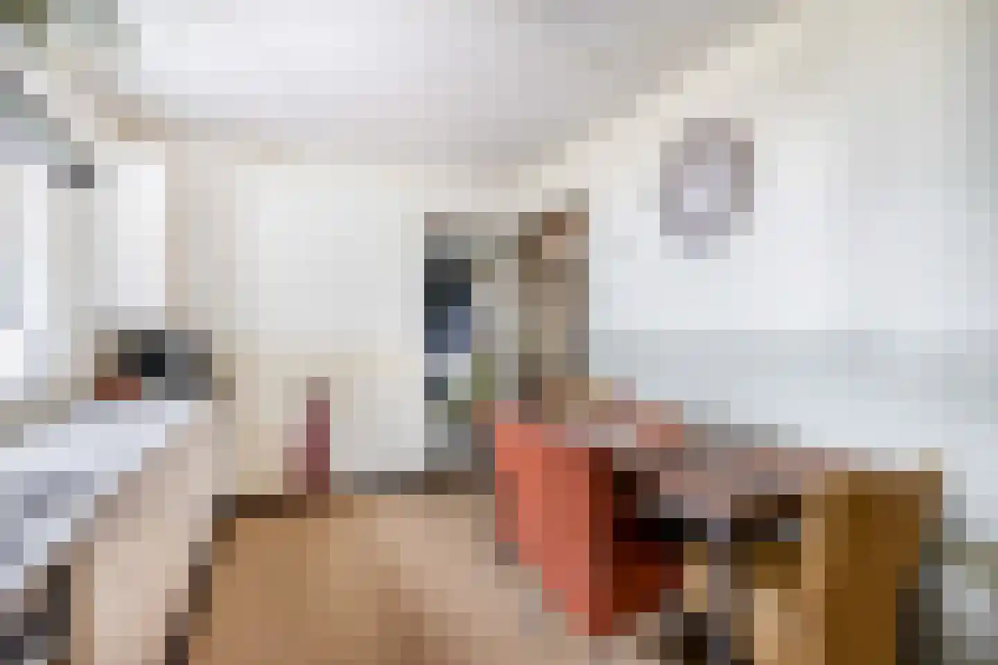 Kanaalstraat 12 Liessel thumbnail 11