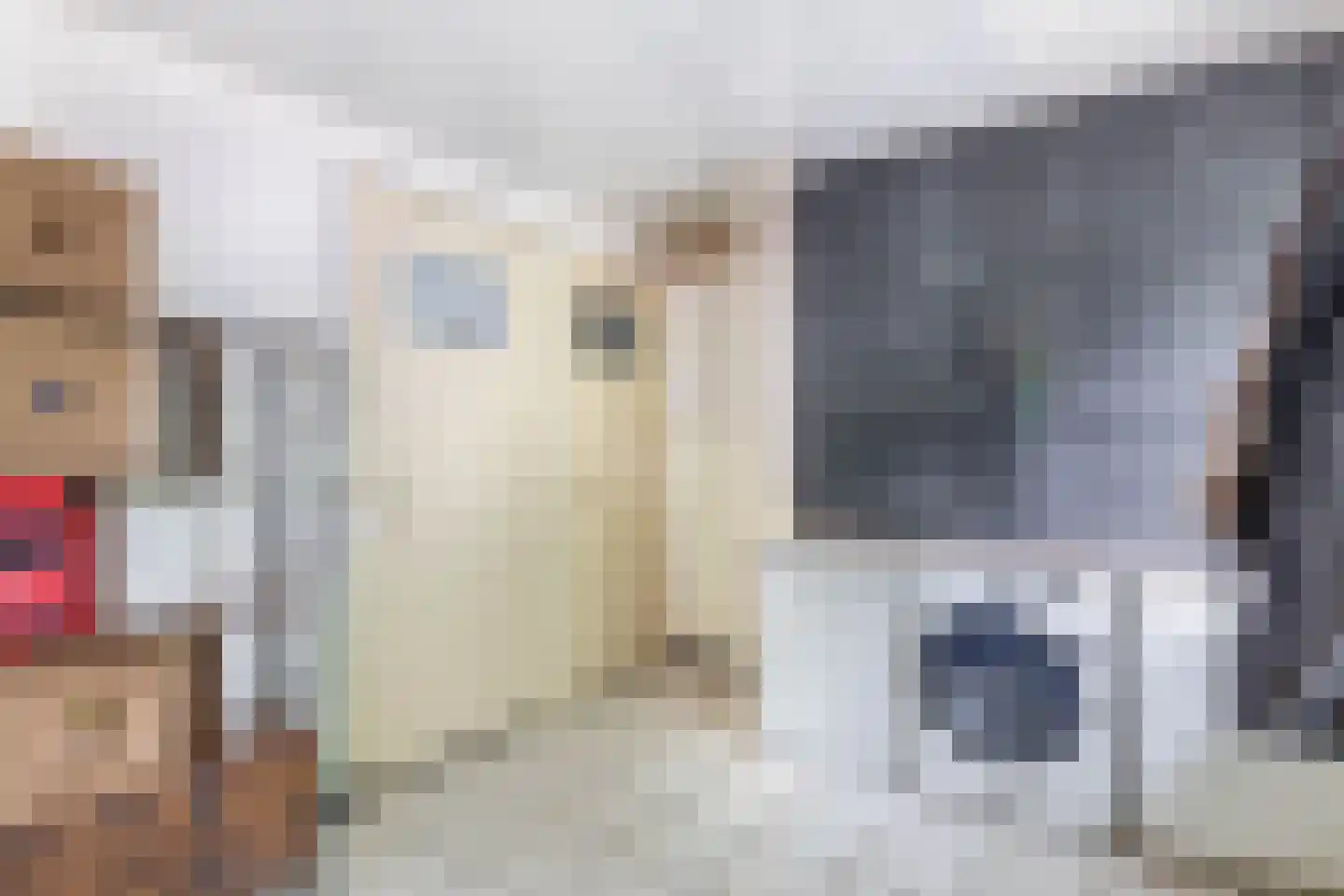 Kanaalstraat 12 Liessel thumbnail 19