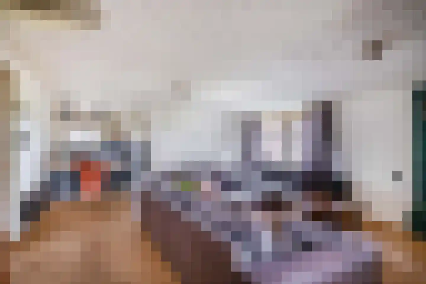 Kanaalstraat 12 Liessel thumbnail 34