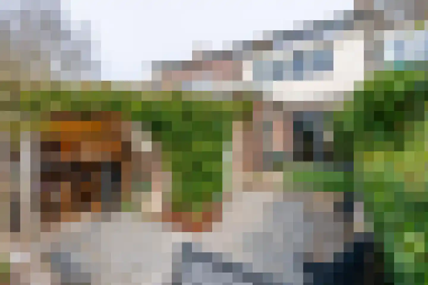 Kanaalstraat 13 Maarssen thumbnail 30