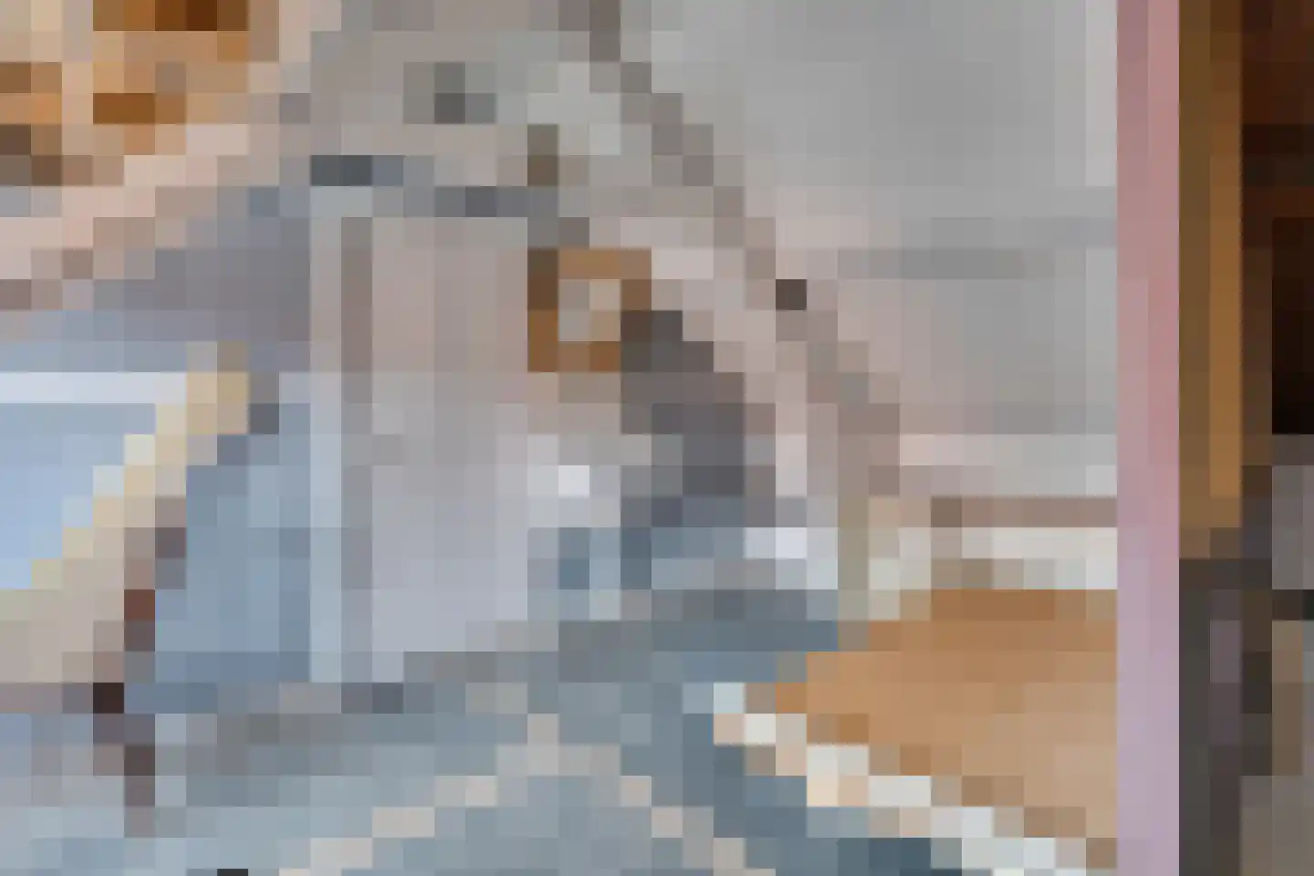 Kanaalstraat 15 Hansweert thumbnail 47