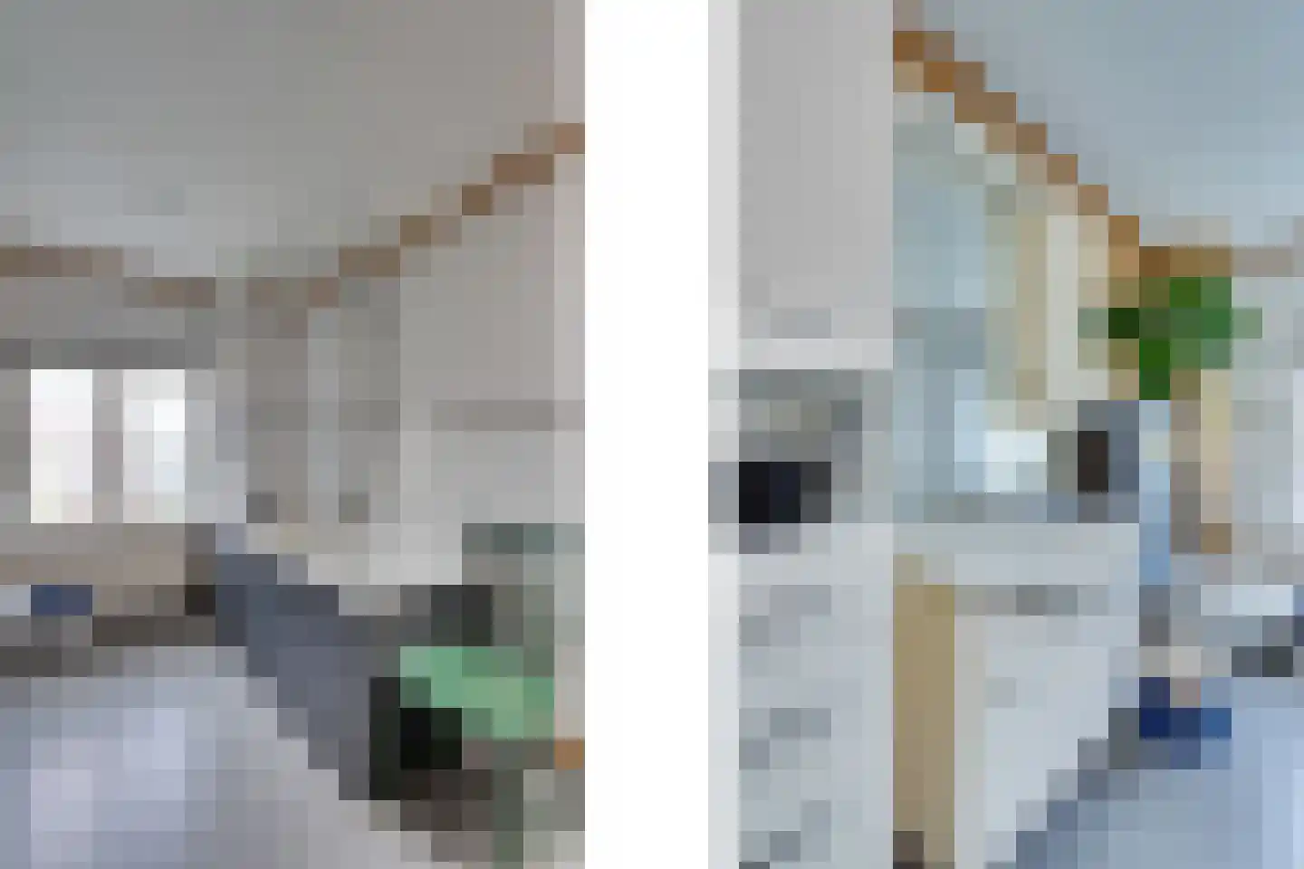Kanaalstraat 15 Hansweert thumbnail 78