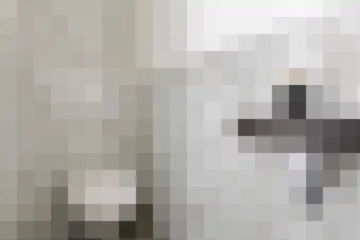 Kanaalstraat 15 Maarssen thumbnail 13