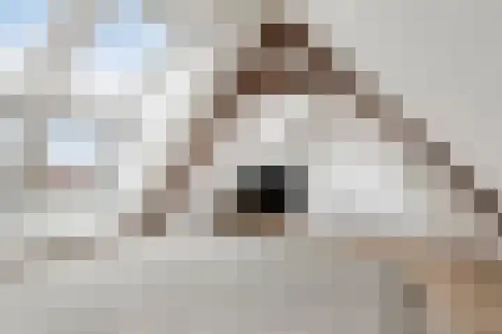 Kanaalstraat 15 Maarssen thumbnail 25