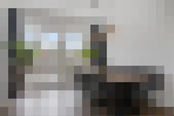 Kanaalstraat 15 Maarssen thumbnail 7
