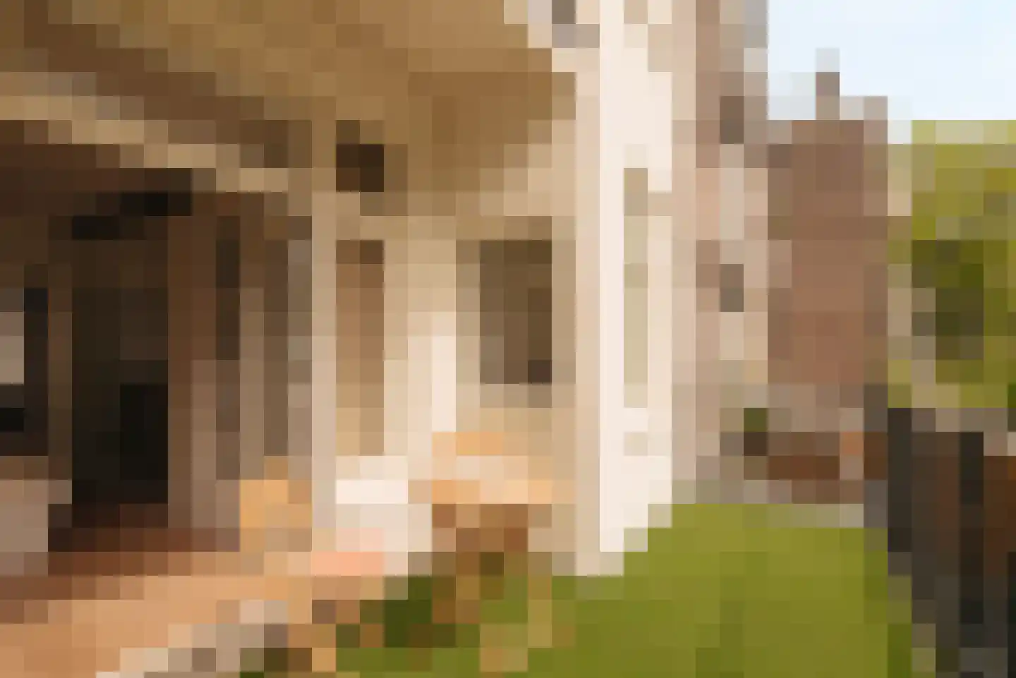 Kanaalstraat 157 2 Amsterdam thumbnail 11