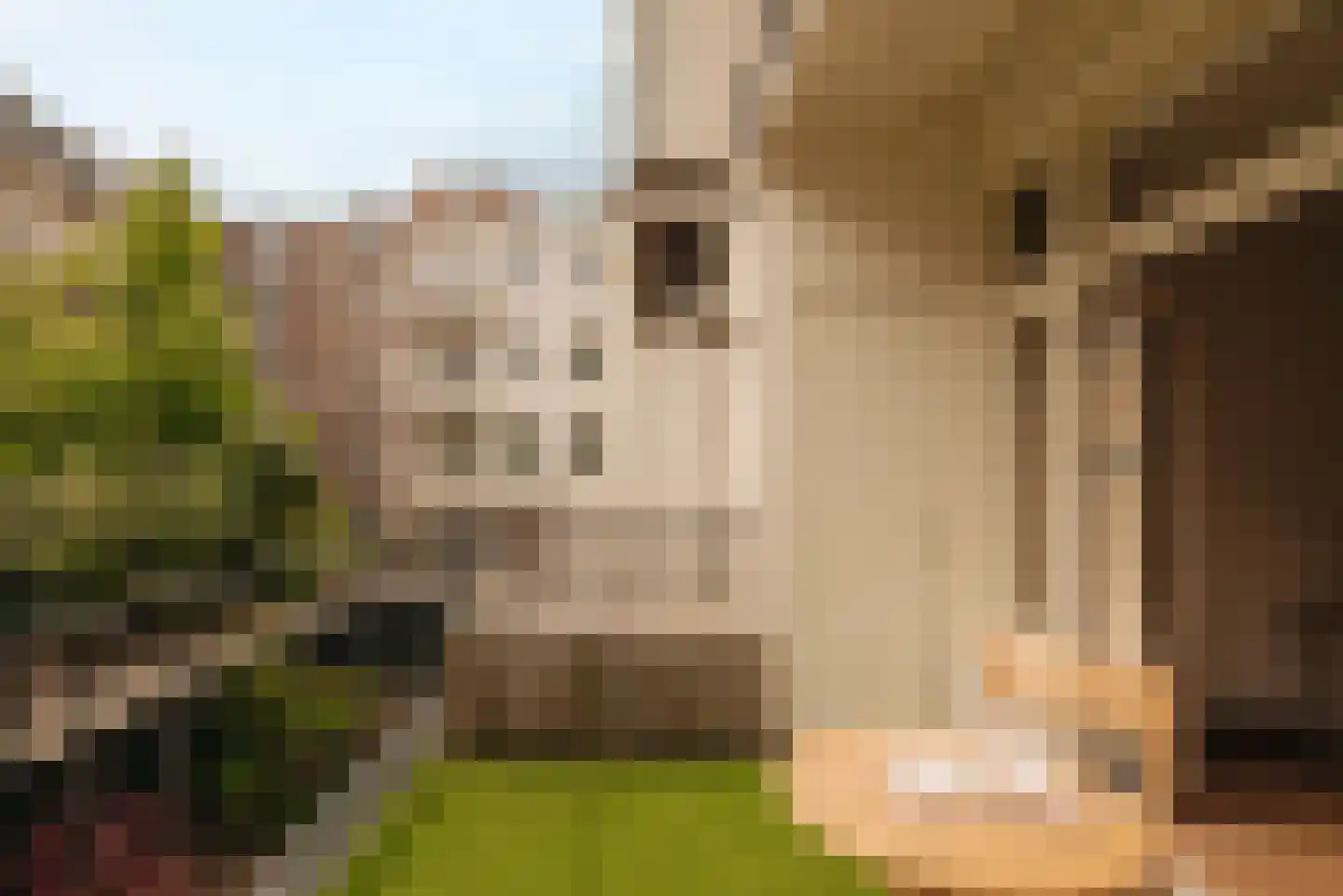 Kanaalstraat 157 2 Amsterdam thumbnail 12