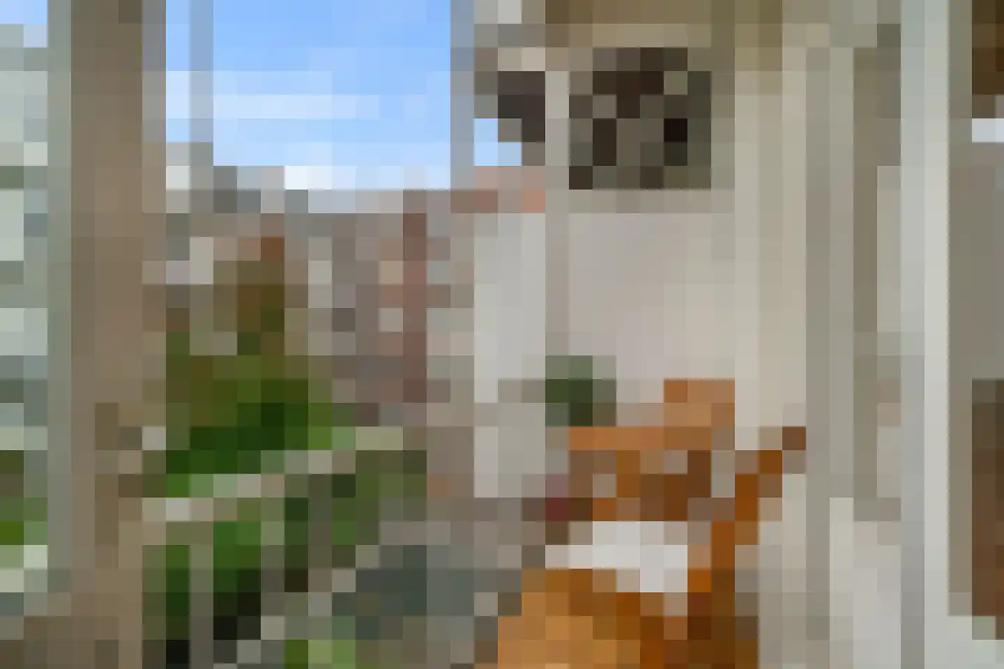 Kanaalstraat 157 2 Amsterdam thumbnail 24