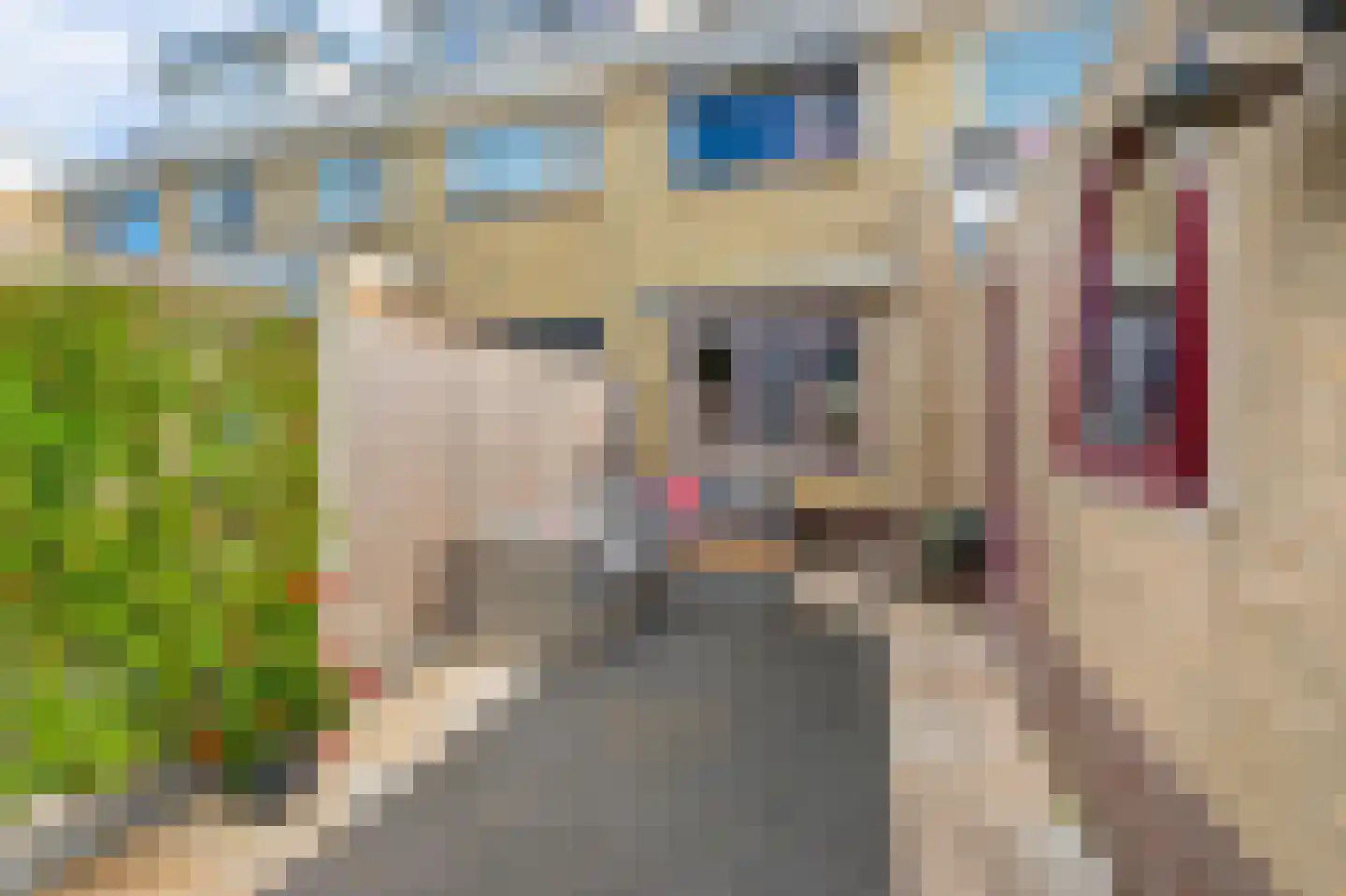 Kanaalstraat 16 Rijnsburg thumbnail 36