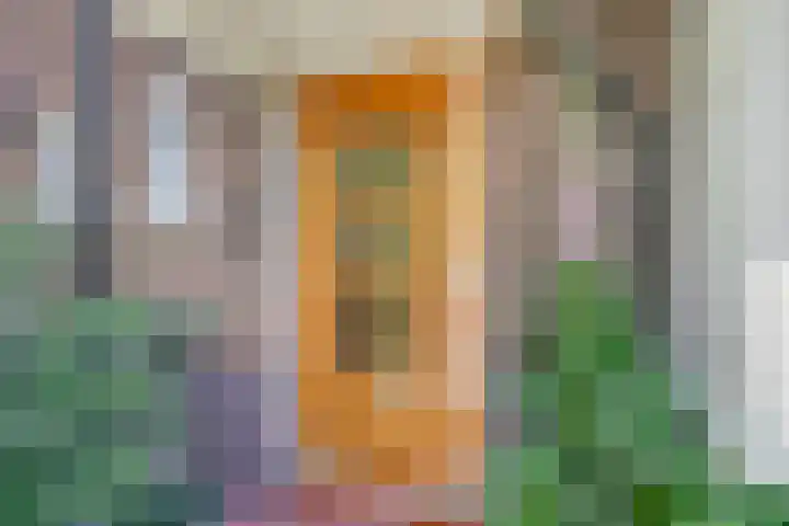 Kanaalstraat 16 Waddinxveen thumbnail 8
