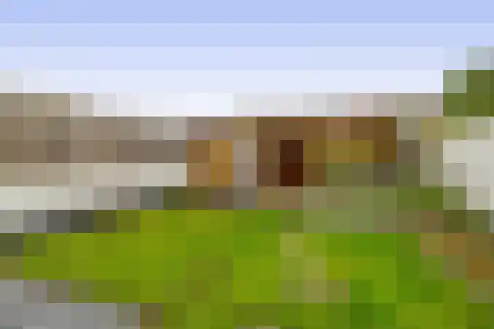 Kanaalstraat 171 Lisse thumbnail 20
