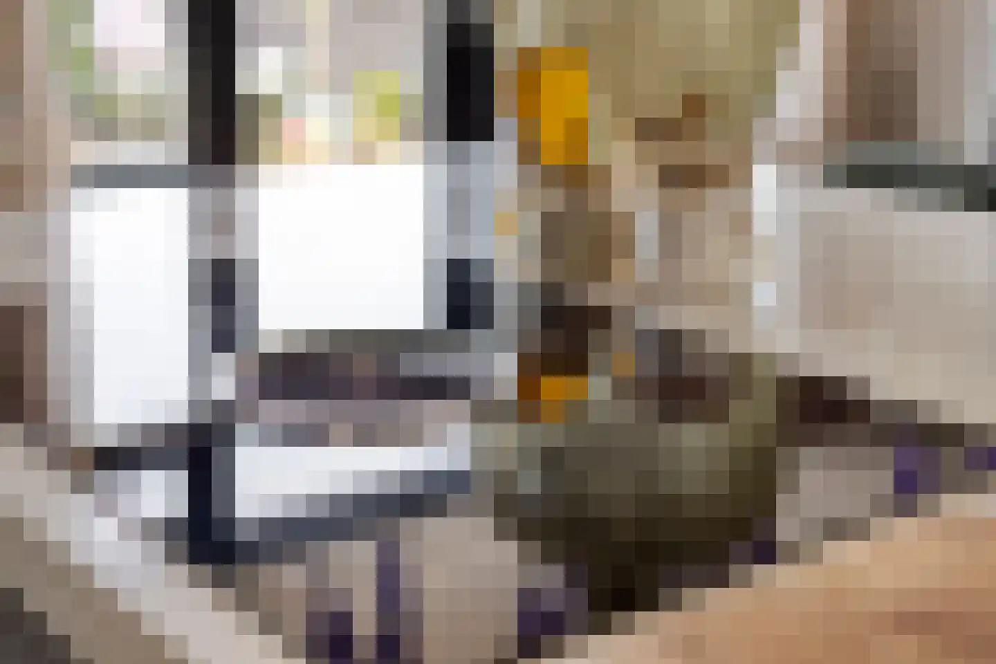Kanaalstraat 197 Lisse thumbnail 14