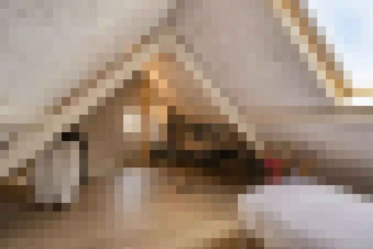 Kanaalstraat 197 Lisse thumbnail 28