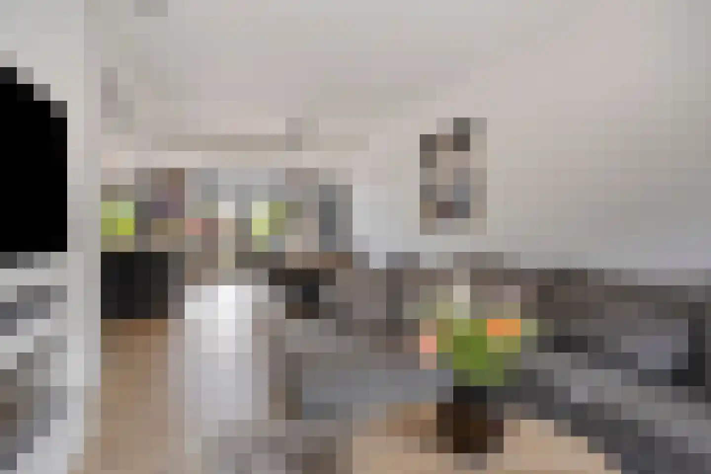 Kanaalstraat 197 Lisse thumbnail 5