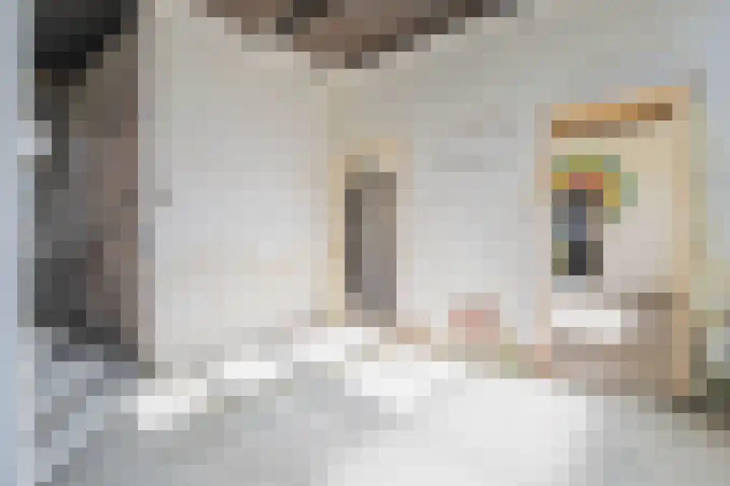 Kanaalstraat 2 Hansweert thumbnail 10