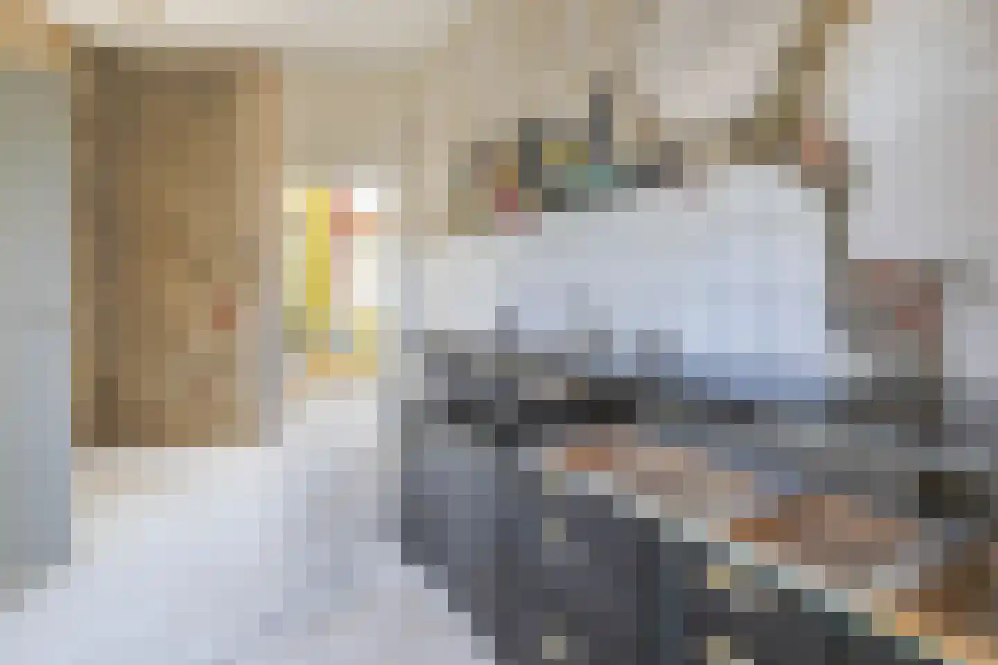 Kanaalstraat 2 Hansweert thumbnail 13