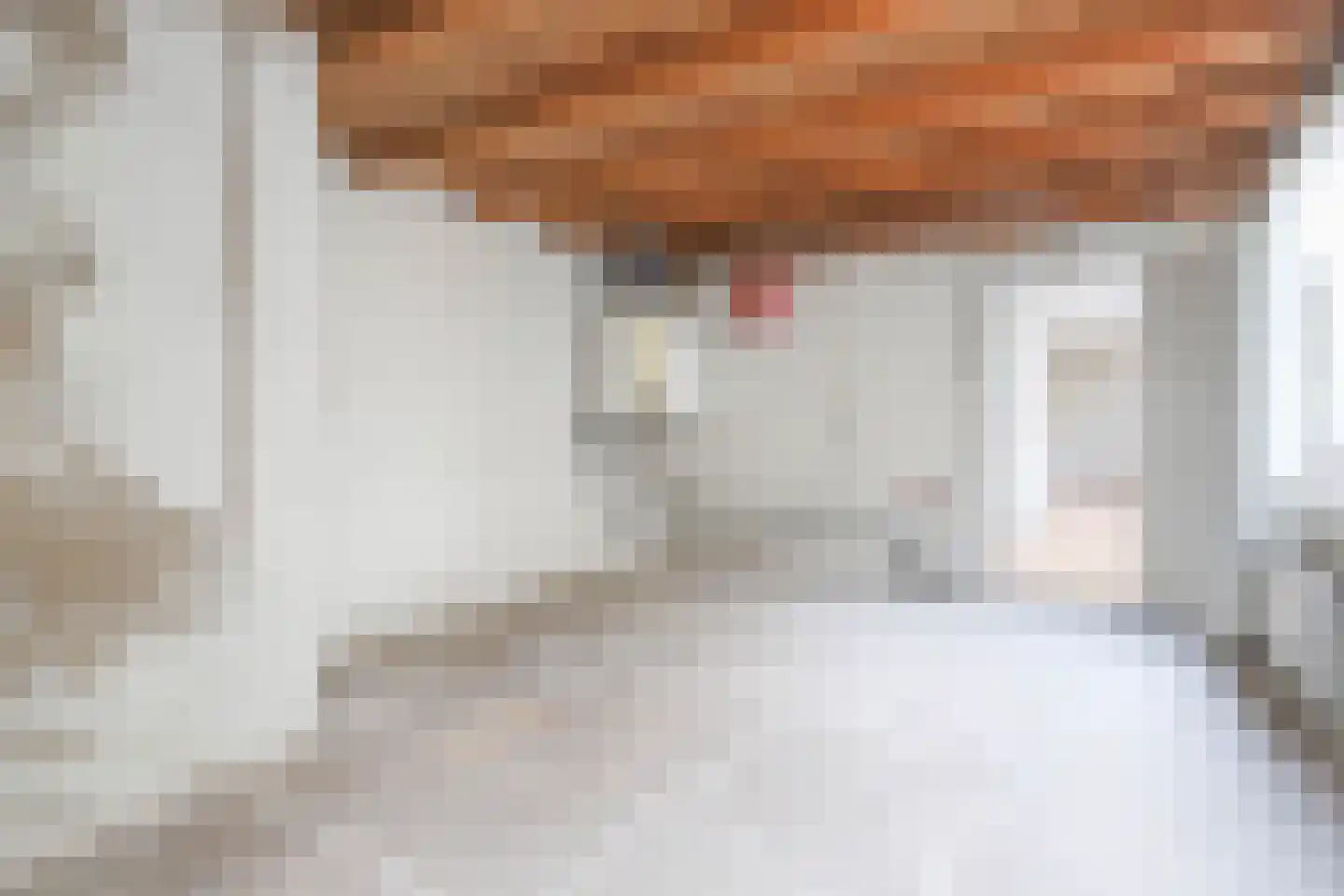 Kanaalstraat 2 Hansweert thumbnail 19