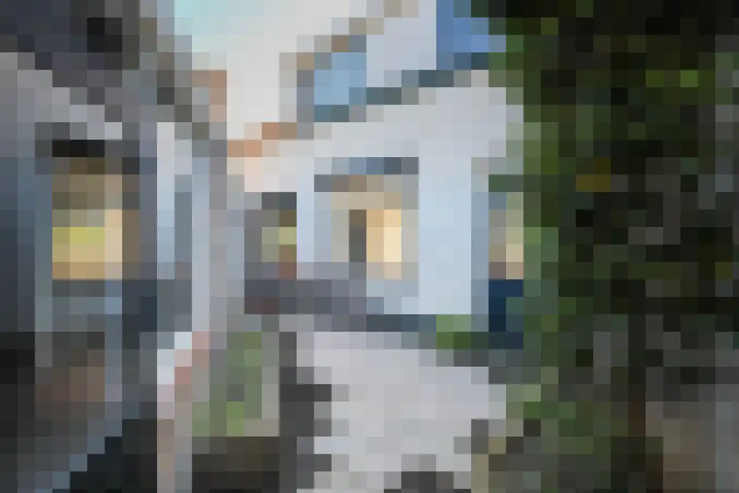 Kanaalstraat 2 Hansweert thumbnail 28