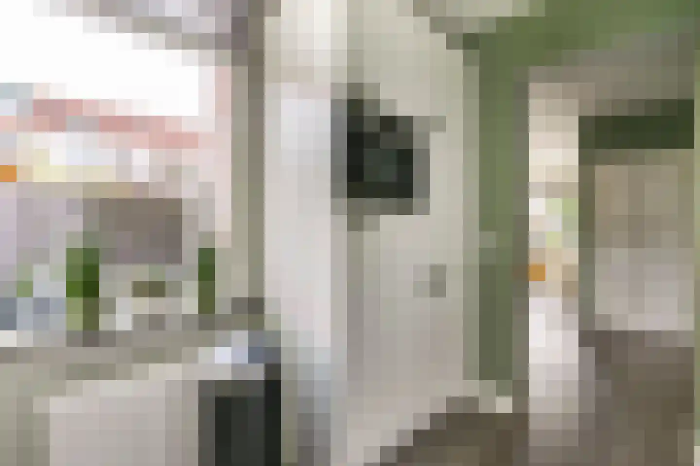 Kanaalstraat 2 Maarssen thumbnail 14