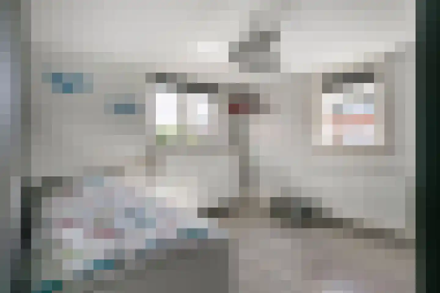 Kanaalstraat 2 Maarssen thumbnail 20