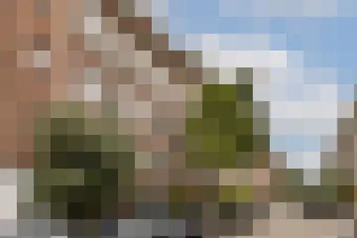 Kanaalstraat 200 H Amsterdam thumbnail 19