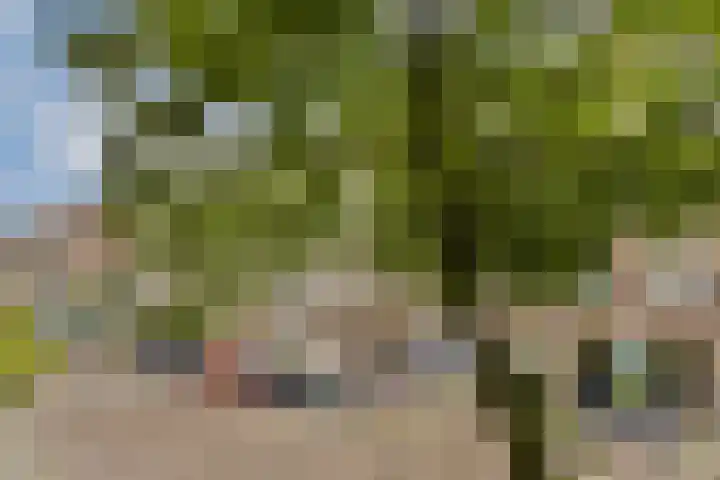 Kanaalstraat 200 H Amsterdam thumbnail 8
