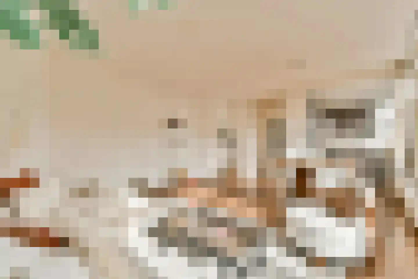 Kanaalstraat 206 3 Amsterdam thumbnail 5