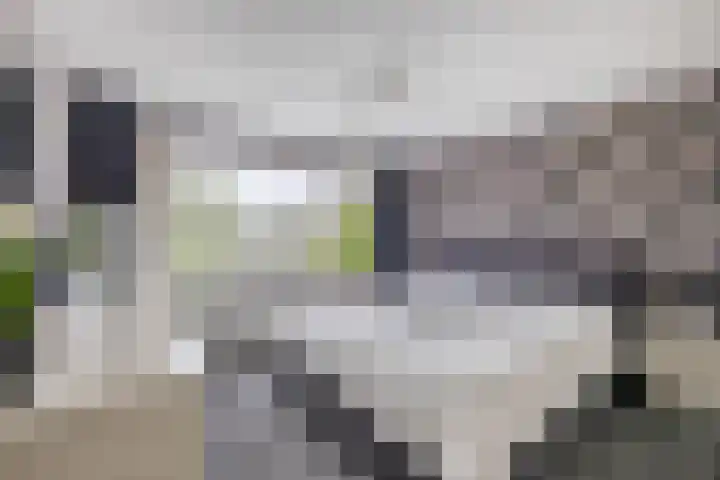 Kanaalstraat 213 Lisse thumbnail 12
