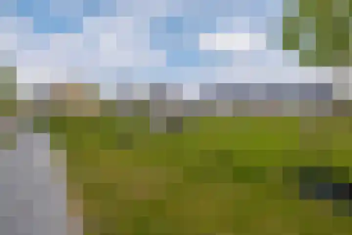 Kanaalstraat 213 Lisse thumbnail 36