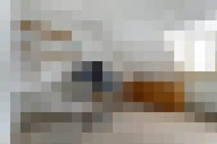 Kanaalstraat 25 Beringe thumbnail 21