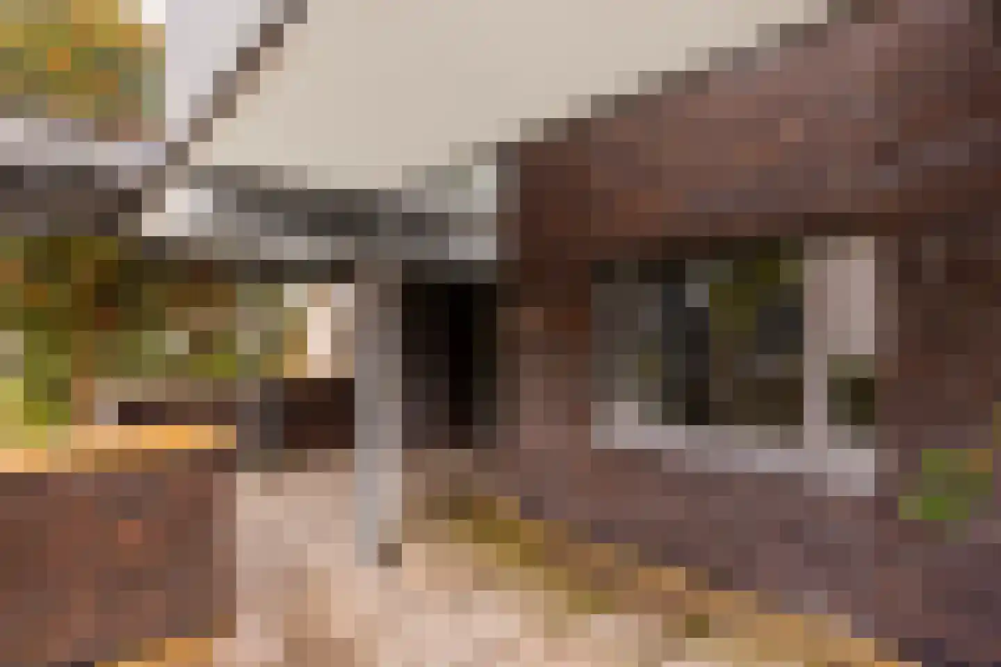 Kanaalstraat 25 H Apeldoorn thumbnail 9