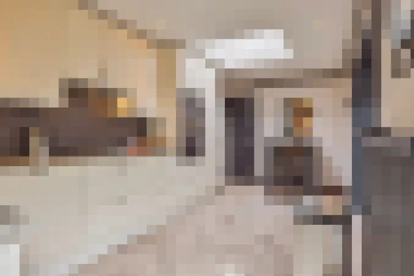 Kanaalstraat 28 Son en Breugel thumbnail 11