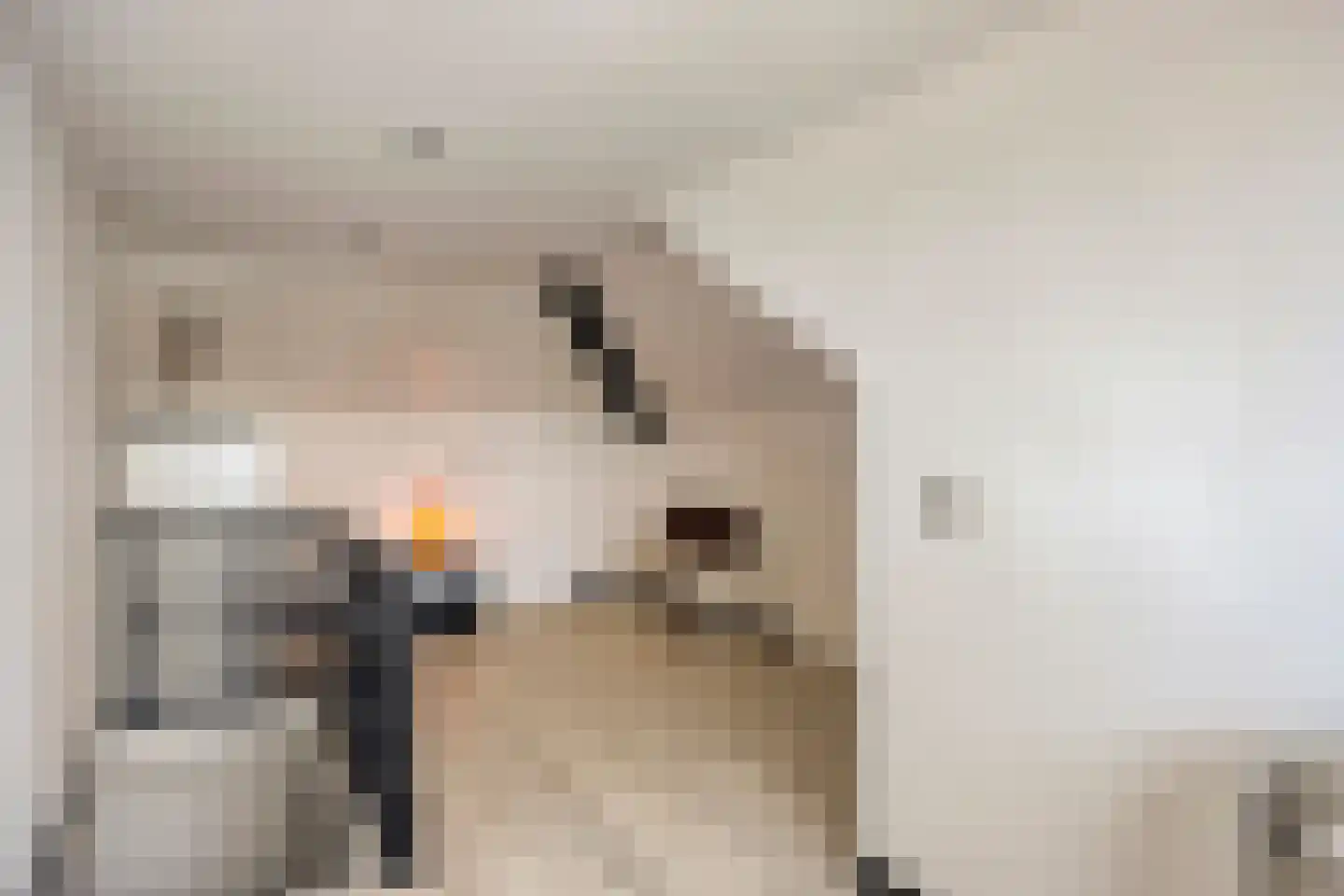 Kanaalstraat 28 Son en Breugel thumbnail 24