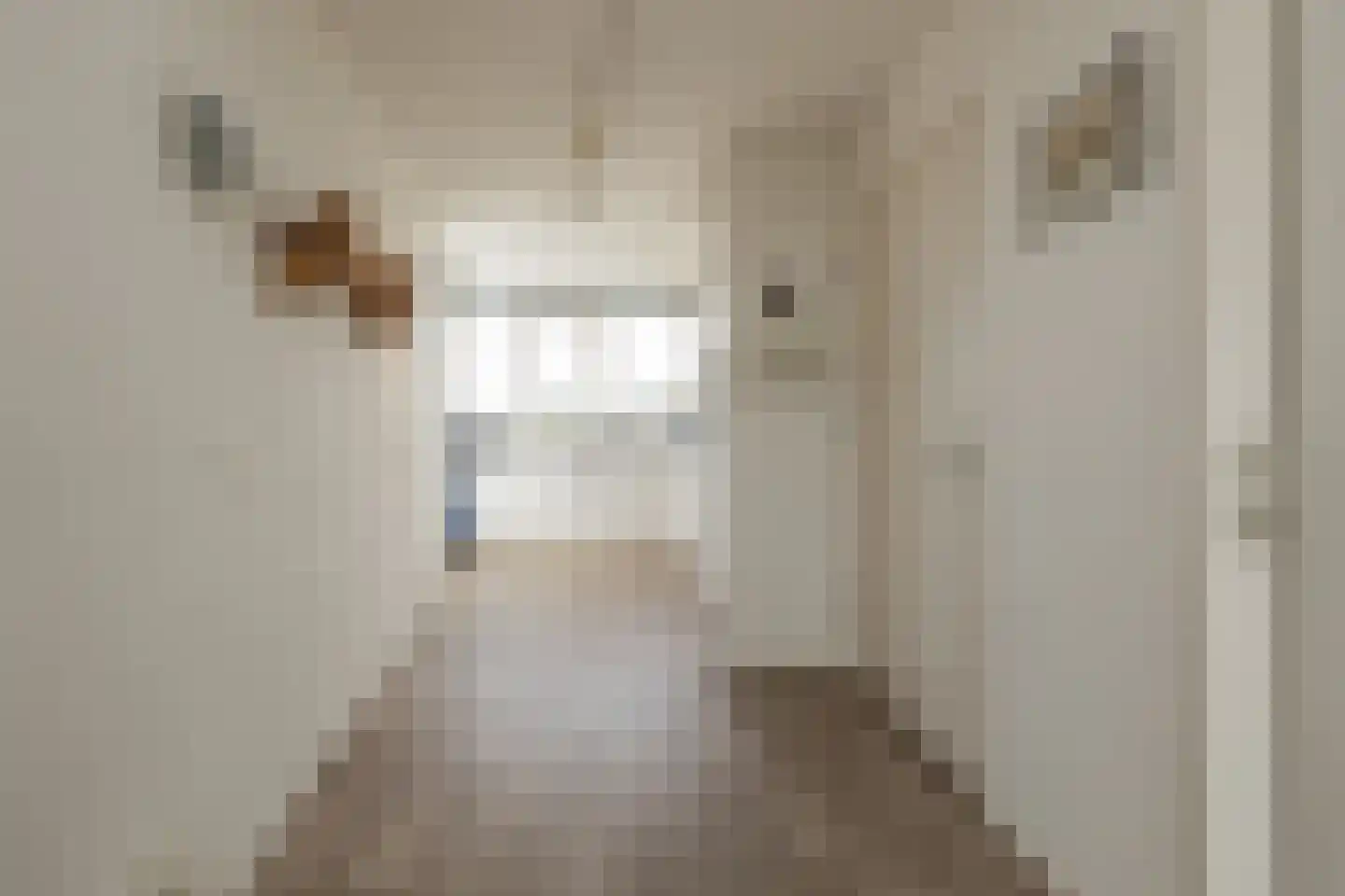 Kanaalstraat 287 Lisse thumbnail 18