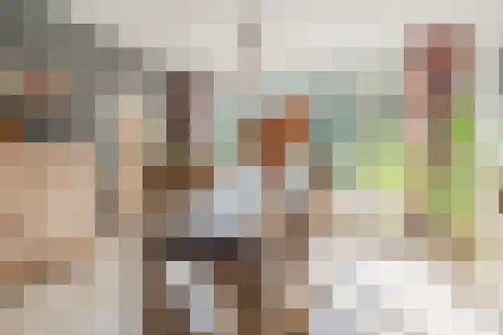 Kanaalstraat 3 Dongen thumbnail 13