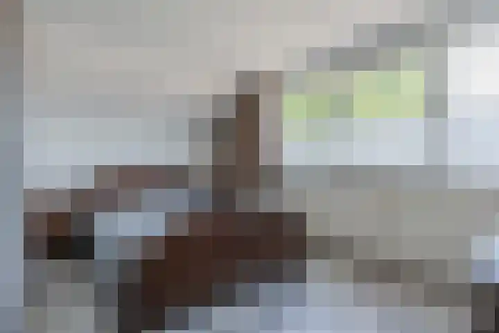 Kanaalstraat 3 Dongen thumbnail 23