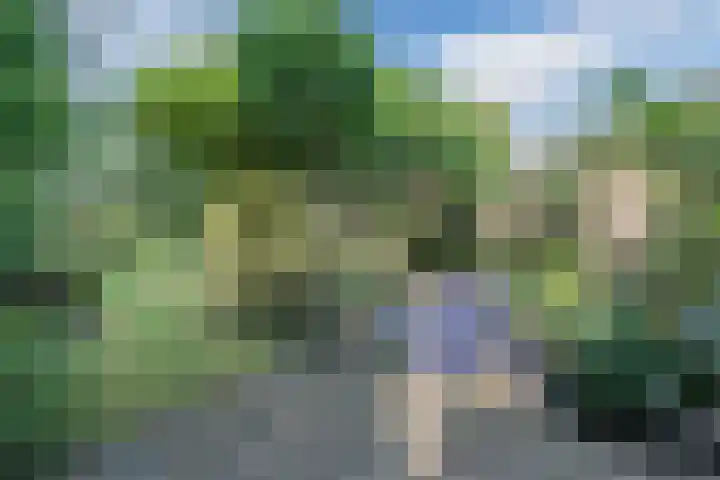 Kanaalstraat 3 Dongen thumbnail 40