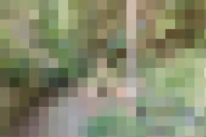 Kanaalstraat 3 Dongen thumbnail 41