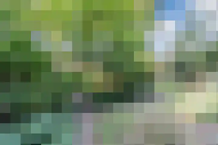 Kanaalstraat 3 Dongen thumbnail 42